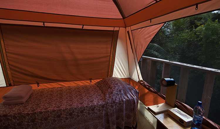 Tent Hut Single Accommodations | sivanandabahamas.org