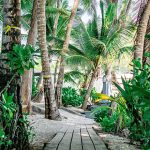 Sivananda Bahamas Karma Yoga Wooden Beach Path
