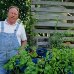 Learning Permaculture with Bill Wilson | sivanandabahamas.org